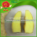 Ginger and garlic export company China ginger exporter Chinese mature super ginger